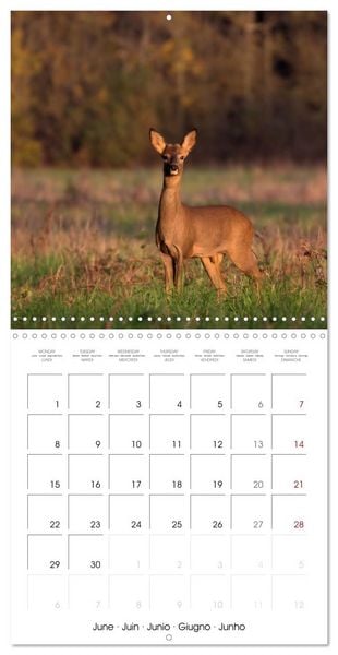 Produktbild: Les couleurs de la Vienne (Calendrier mural carr&eacute; 2026 30x30 cm) Calendrier double avec une page pour vos prises de notes