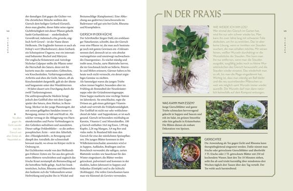 Produktbild: Die "Unkr&auml;uter" in meinem Garten