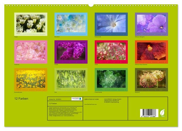 Produktbild: 12 Farben (hochwertiger Premium Wandkalender 2026 DIN A2 quer), Kunstdruck in Hochglanz