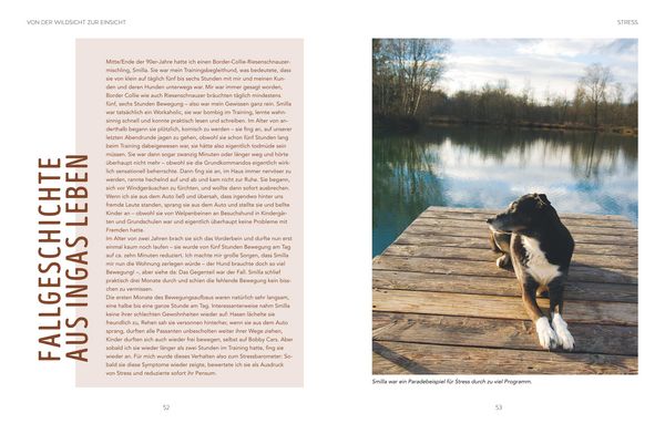 Produktbild: Leinen los! Freilauftraining f&uuml;r den Hund
