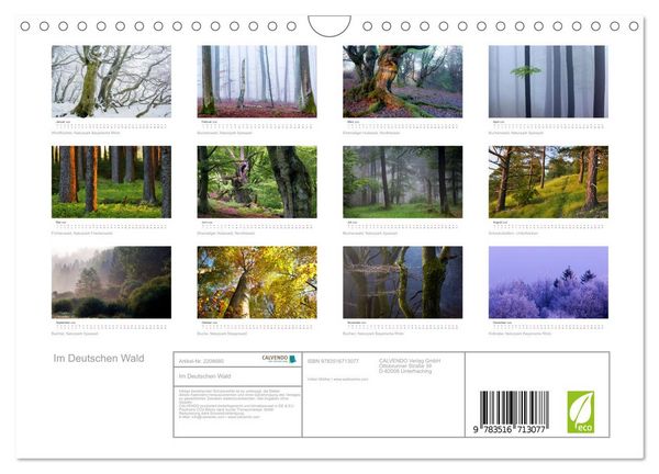 Produktbild: Im Deutschen Wald (Wandkalender 2026 DIN A4 quer), CALVENDO Monatskalender