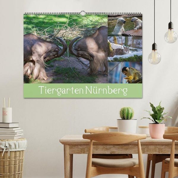 Produktbild: Tiergarten N&uuml;rnberg (Wandkalender 2026 DIN A2 quer), CALVENDO Monatskalender