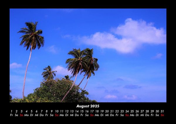 Produktbild: Palmentraum 2025 Fotokalender DIN A3