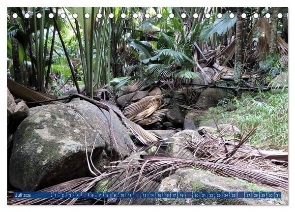 Produktbild: Seychellen - Wild und Sch&ouml;n (Tischkalender 2026 DIN A5 quer), CALVENDO Monatskalender