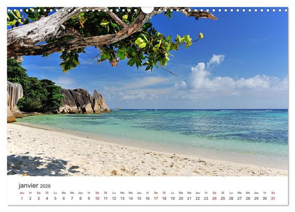 Produktbild: Plages de r&ecirc;ve Seychelles (Calendrier mural 2026 DIN A3 vertical), CALVENDO calendrier mensuel