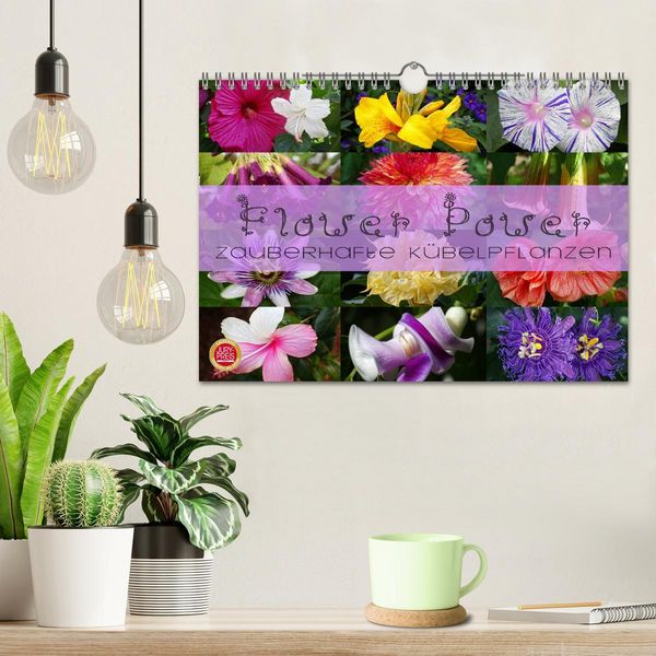 Produktbild: Flower Power - Zauberhafte K&uuml;belpflanzen (Wandkalender 2026 DIN A4 quer), CALVENDO Monatskalender