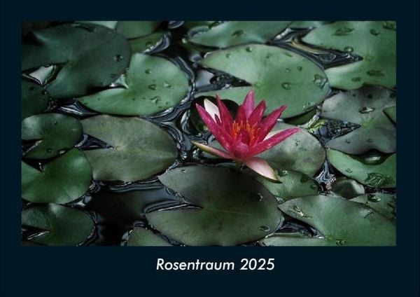 Produktbild: Rosentraum 2025 Fotokalender DIN A4