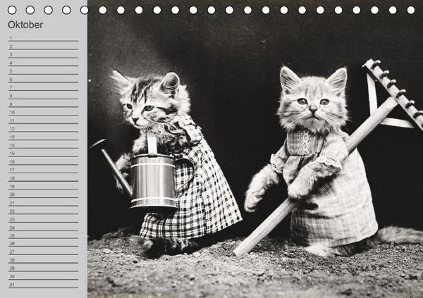 Produktbild: Katzen und Hunde - Nostalgie auf Pfoten (Tischkalender immerw&auml;hrend DIN A5 quer)