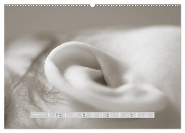 Produktbild: ...so winzig - Babykalender (hochwertiger Premium Wandkalender 2026 DIN A2 quer), Kunstdruck in Hochglanz