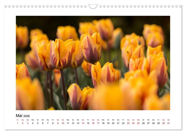 Produktbild: Oranger Bl&uuml;tentraum (Wandkalender 2026 DIN A3 quer), CALVENDO Monatskalender