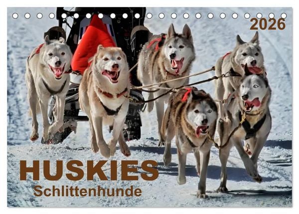 Huskies - Schlittenhunde (Tischkalender 2026 DIN A5 quer), CALVENDO Monatskalender