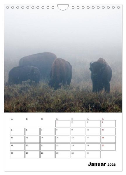 Produktbild: Yellowstone und Grand Tetons Nationalparks (Wandkalender 2026 DIN A4 hoch), CALVENDO Monatskalender