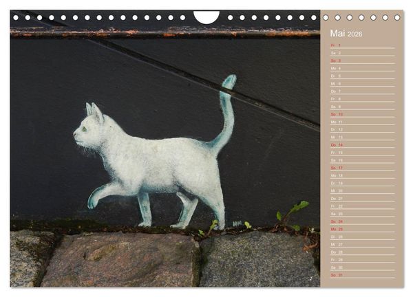 Produktbild: Flensburger Katzen (Wandkalender 2026 DIN A4 quer), CALVENDO Monatskalender