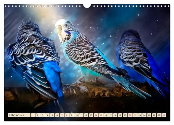 Produktbild: Wundersch&ouml;ner Wellensittich (Wandkalender 2026 DIN A3 quer), CALVENDO Monatskalender