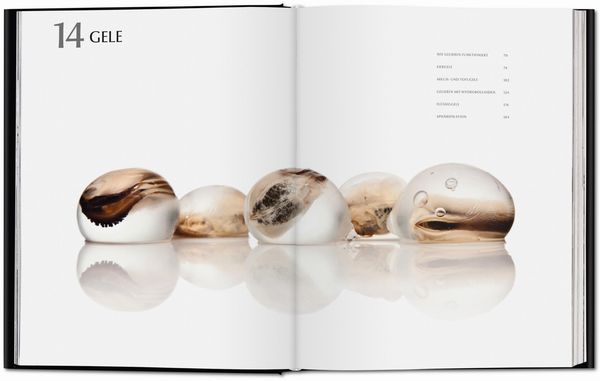 Modernist Cuisine. Die Revolution der Kochkunst