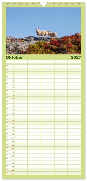 Produktbild: Familienplaner 2027 - Schafe - Weich und wollig mit 5 Spalten (Wandkalender, 21 x 45 cm) CALVENDO