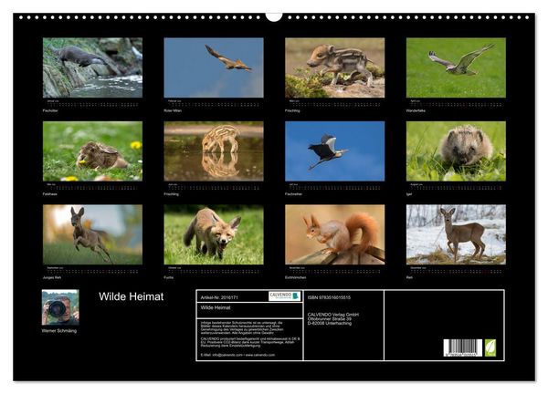 Produktbild: Wilde Heimat (Wandkalender 2026 DIN A2 quer), CALVENDO Monatskalender
