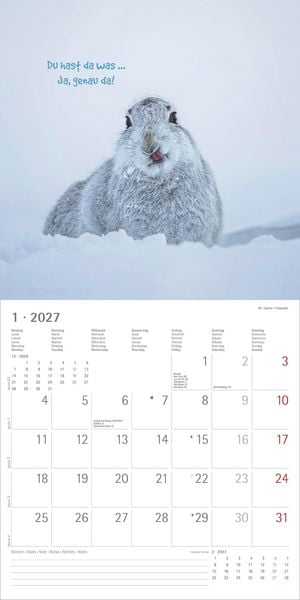 Produktbild: Funny Animals 2027