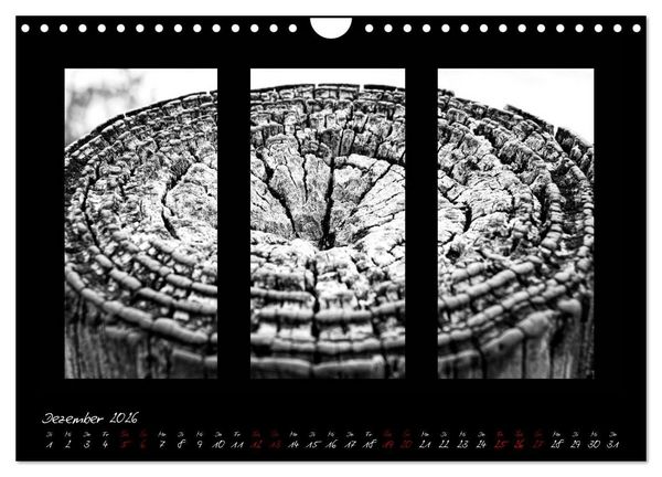 Produktbild: Die Kunst der Natur - Dreifach Stilvoll (Wandkalender 2026 DIN A4 quer), CALVENDO Monatskalender