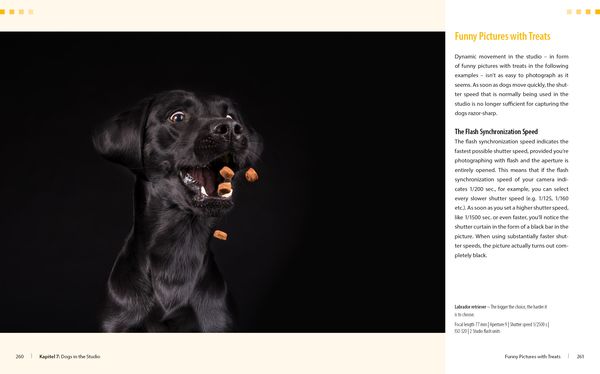 Produktbild: Dog Photography - Shooting with Bow "Wow" Effect