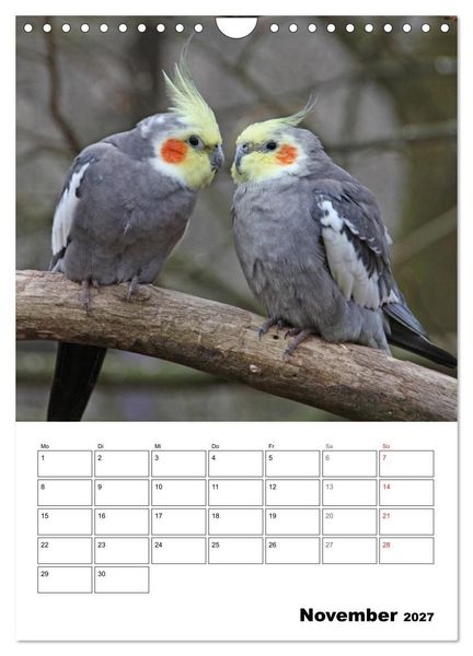 Produktbild: Papageien - Graupapagei, Rosella und Co. (Wandkalender 2027 DIN A4 hoch), CALVENDO Monatskalender