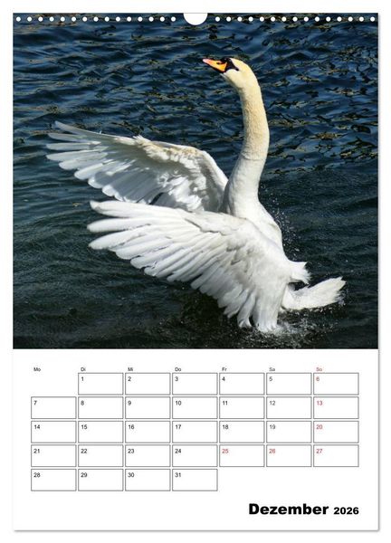 Produktbild: Heimische Wildtiere Terminplaner (Wandkalender 2026 DIN A3 hoch), CALVENDO Monatskalender