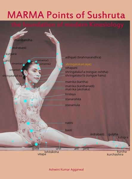 Produktbild: Marma Points of Sushruta the foundation of Modern Kinesiology