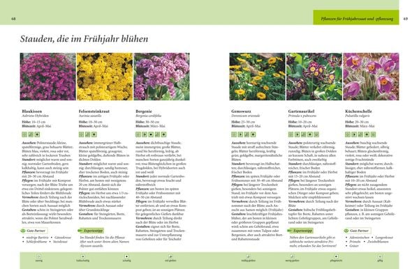 Produktbild: Gartenjahr f&uuml;r Einsteiger