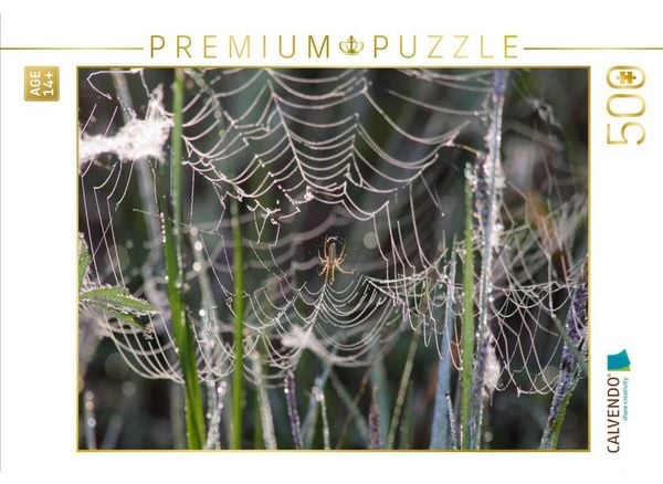 CALVENDO Puzzle Gesponnen hat die Spinne fein und hofft auf Beute die fliegt rein. | 500 Teile Lege-Größe 48 × 36 cm Foto-Puzzle für Erwachsene