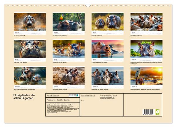 Produktbild: Flusspferde - die stillen Giganten (Wandkalender 2026 DIN A2 quer), CALVENDO Monatskalender