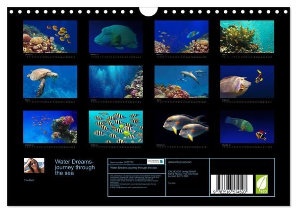 Produktbild: Water Dreams-journey through the sea (Wall Calendar 2026 DIN A4 landscape), CALVENDO 12 Month Wall Calendar
