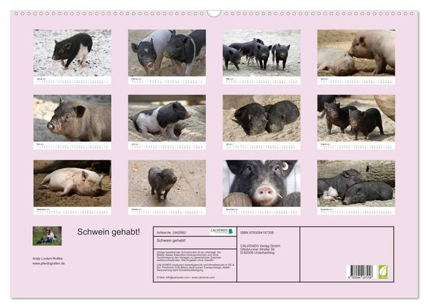 Produktbild: Schwein gehabt! (Wandkalender 2027 DIN A2 quer), CALVENDO Monatskalender
