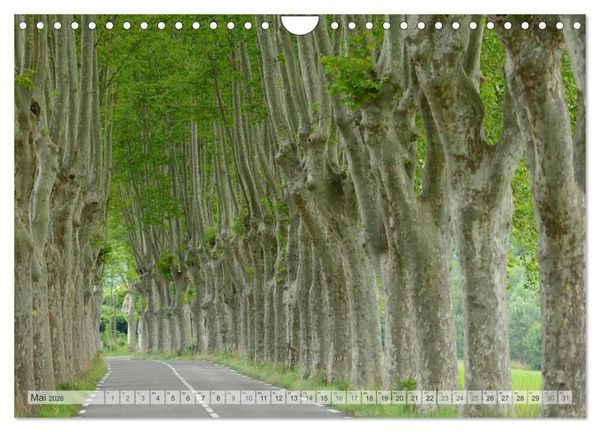 Produktbild: Provence von Christian Heeb (Wandkalender 2026 DIN A4 quer), CALVENDO Monatskalender