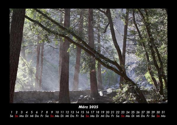 Produktbild: Bilder der Natur 2025 Fotokalender DIN A3