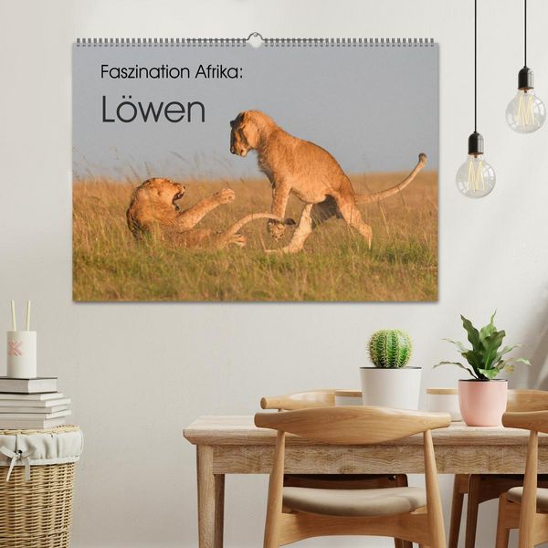 Produktbild: Faszination Afrika: L&ouml;wen (Wandkalender 2026 DIN A2 quer), CALVENDO Monatskalender