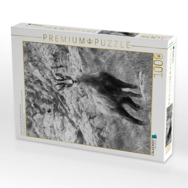 Produktbild: CALVENDO Puzzle Ein Motiv aus dem Kalender Wilde Bergwelt in Europa | 1000 Teile Lege-Gr&ouml;&szlig;e 64x48cm Foto-Puzzle f&uuml;r gl&uuml;ckliche Stunden