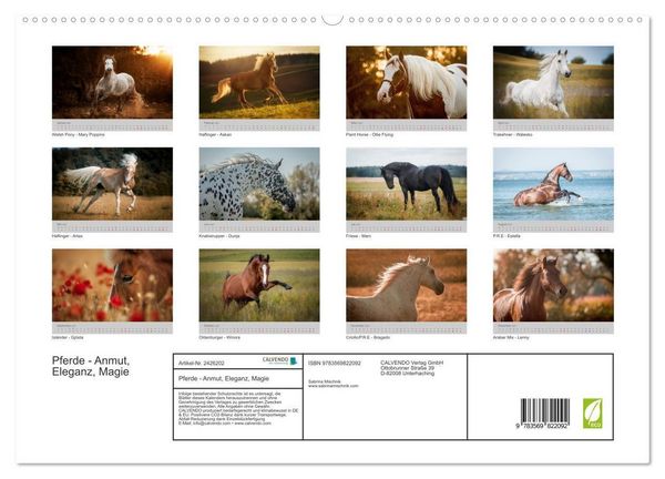 Produktbild: Pferde - Anmut, Eleganz, Magie (hochwertiger Premium Wandkalender 2027 DIN A2 quer), Kunstdruck in Hochglanz