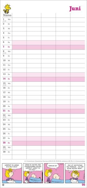 Produktbild: Peanuts Familienplaner 2026