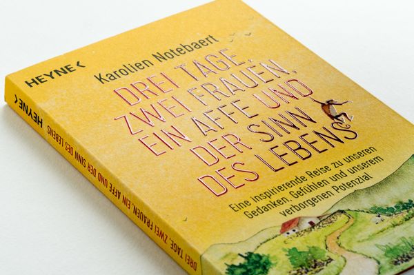 Produktbild: Drei Tage, zwei Frauen, ein Affe und der Sinn des Lebens