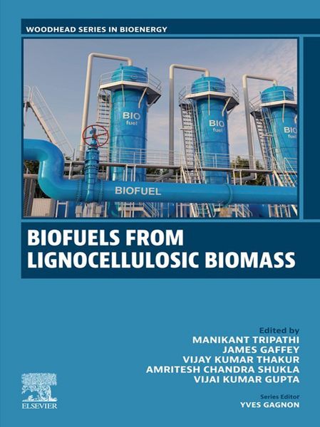 Produktbild: Biofuels from Lignocellulosic Materials