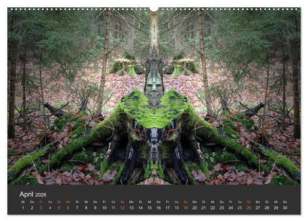 Produktbild: Spiegelwelten - Im Reich der Naturwesen (hochwertiger Premium Wandkalender 2026 DIN A2 quer), Kunstdruck in Hochglanz