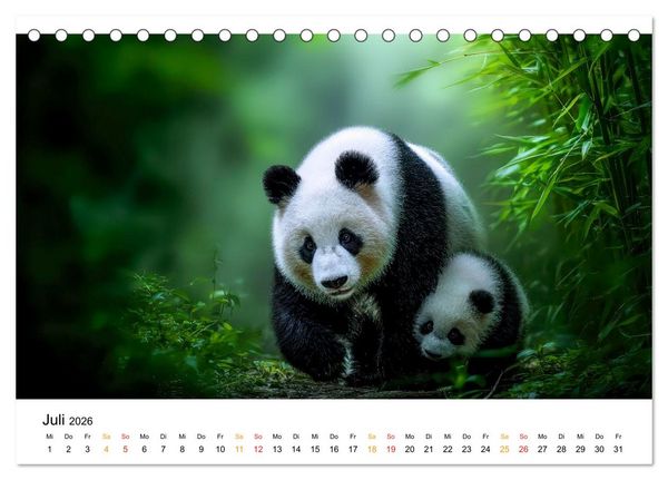 Produktbild: Panda - die Stimme der Wildnis (Tischkalender 2026 DIN A5 quer), CALVENDO Monatskalender