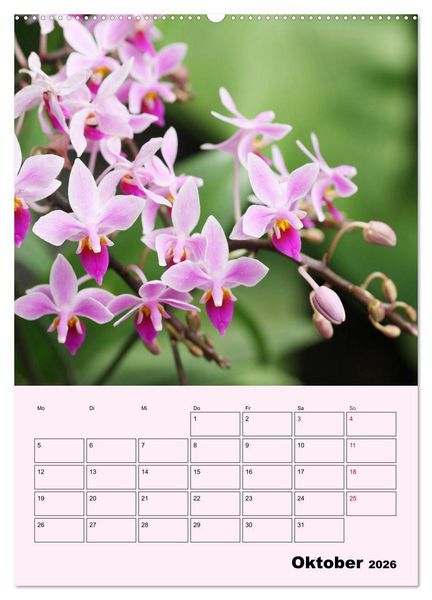 Produktbild: Orchideenliebe (hochwertiger Premium Wandkalender 2026 DIN A2 hoch), Kunstdruck in Hochglanz