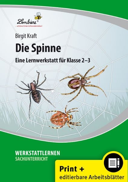 Die Spinne, Set von Birgit Kraft, Lernbiene, 978-3-7468-0575-7