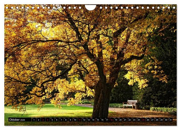 Produktbild: Entschleunigung - Zeit zum Durchatmen (Wandkalender 2026 DIN A4 quer), CALVENDO Monatskalender