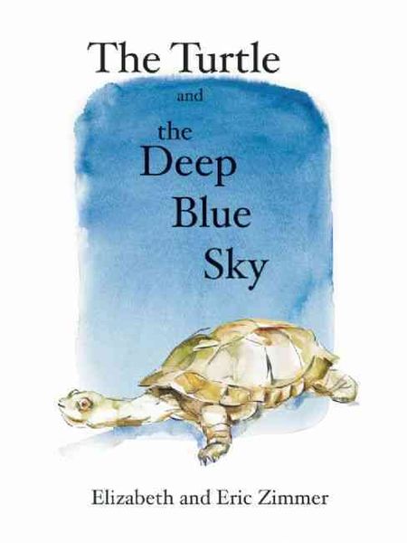Produktbild: The Turtle and the Deep Blue Sky