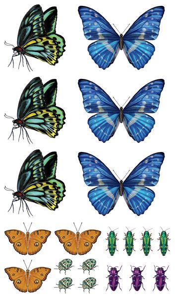 Produktbild: Fluttery, Friendly Tattoo Butterflies and Other Insects