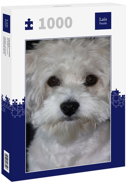 Produktbild: Lais Puzzle Havaneser 1000 Teile