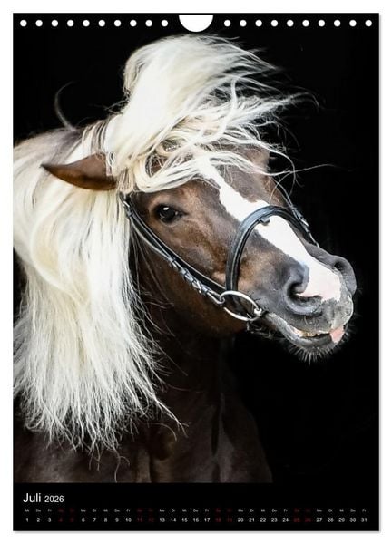 Produktbild: Schwarzw&auml;lder F&uuml;chse von Julia Hahn Photography (Wandkalender 2026 DIN A4 hoch), CALVENDO Monatskalender