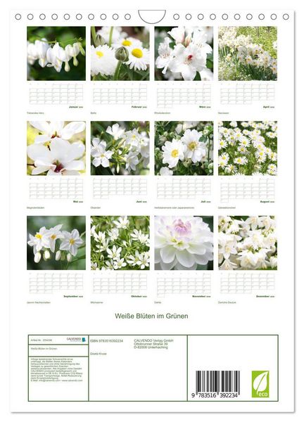 Produktbild: Wei&szlig;e Bl&uuml;ten im Gr&uuml;nen (Wandkalender 2026 DIN A4 hoch), CALVENDO Monatskalender
